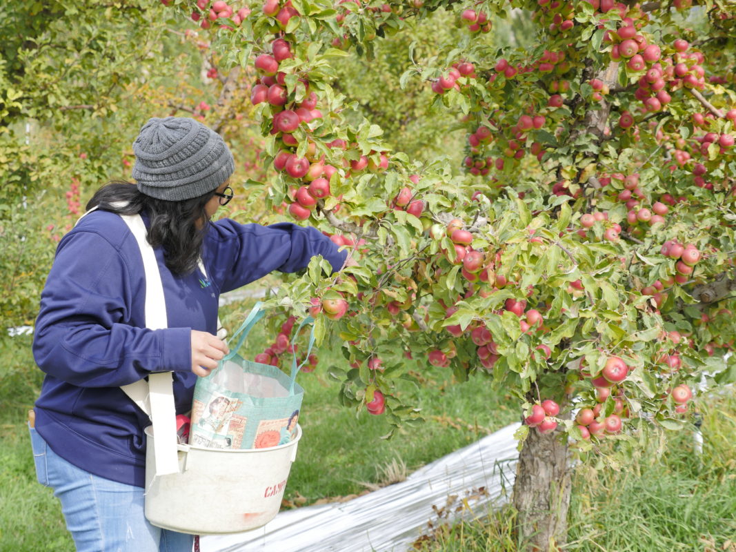 Tieton Cider Works