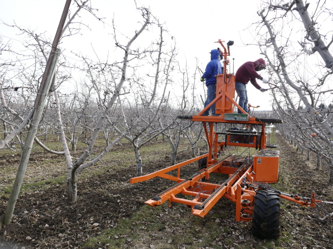 Tieton Cider Works