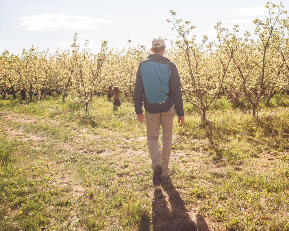 Tieton Cider Works