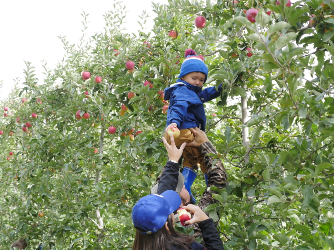 Tieton Cider Works