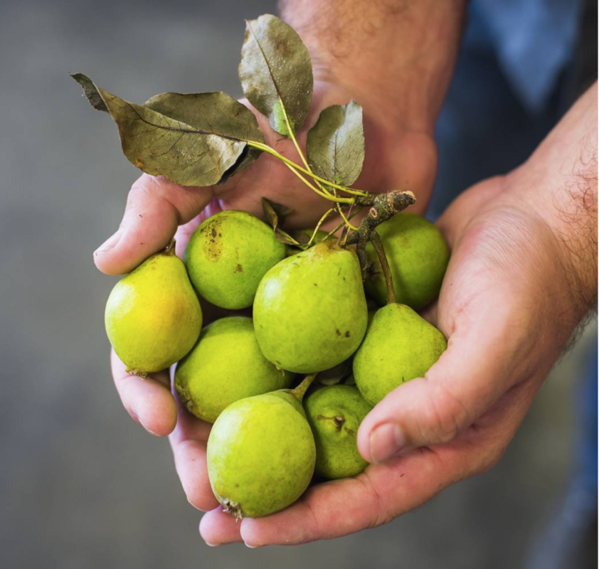 Tieton Cider Works