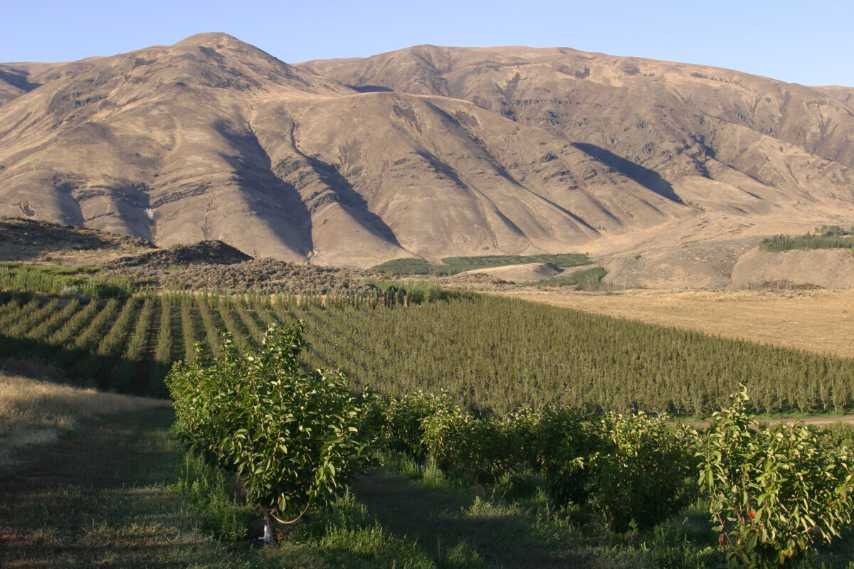 Tieton Cider Works