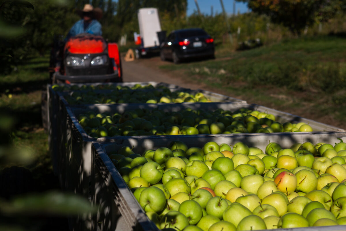 Tieton Cider Works